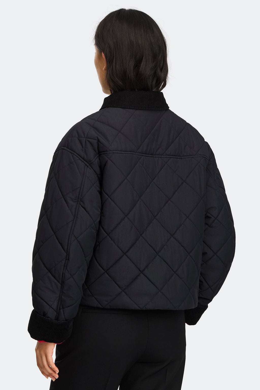 Terra Jacket