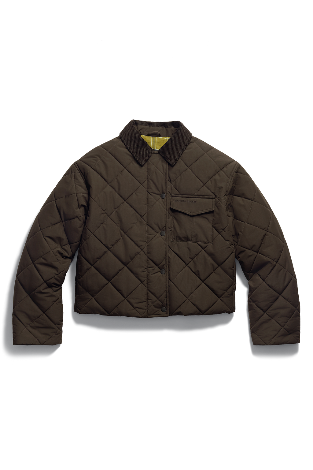 Terra Jacket