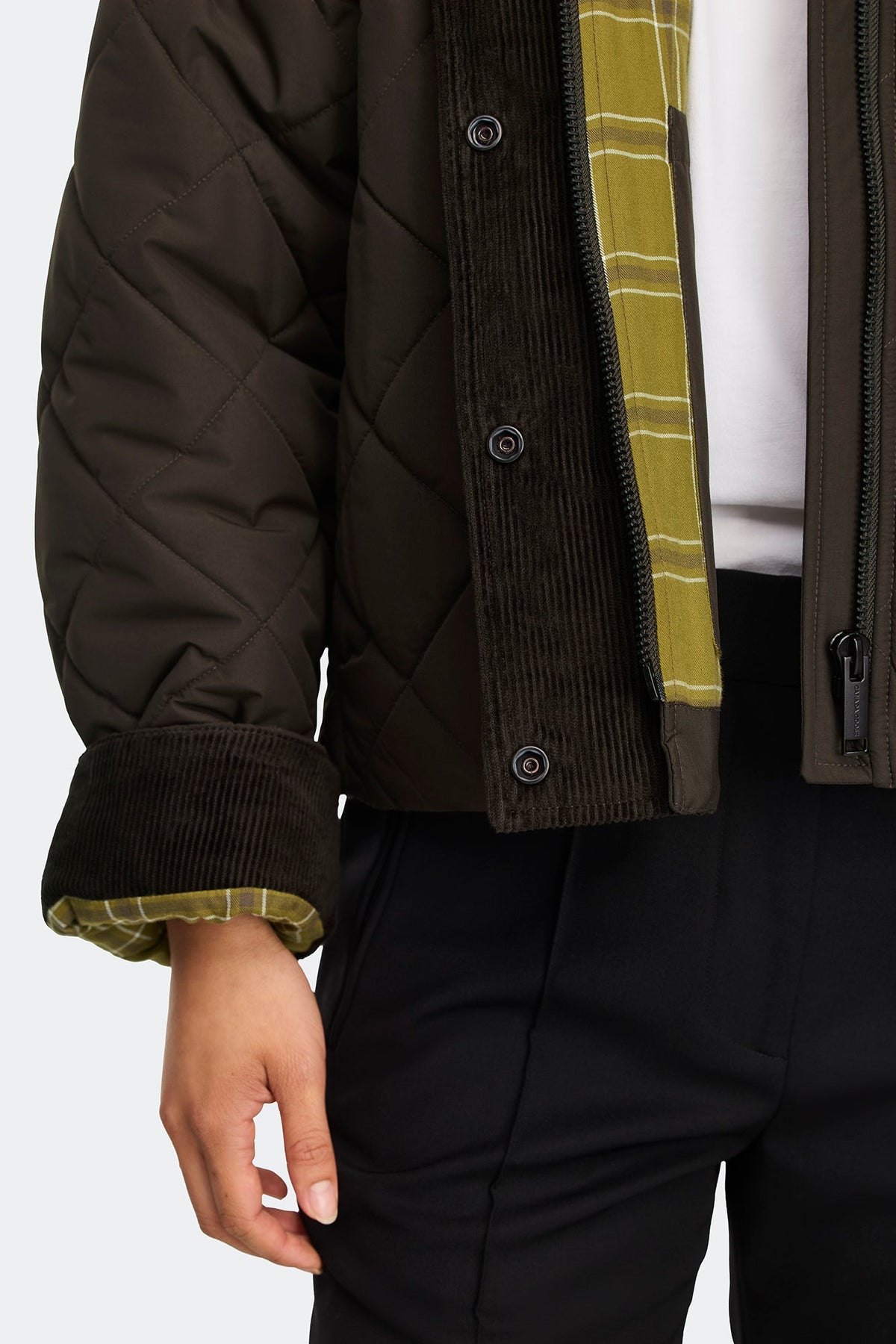 Terra Jacket