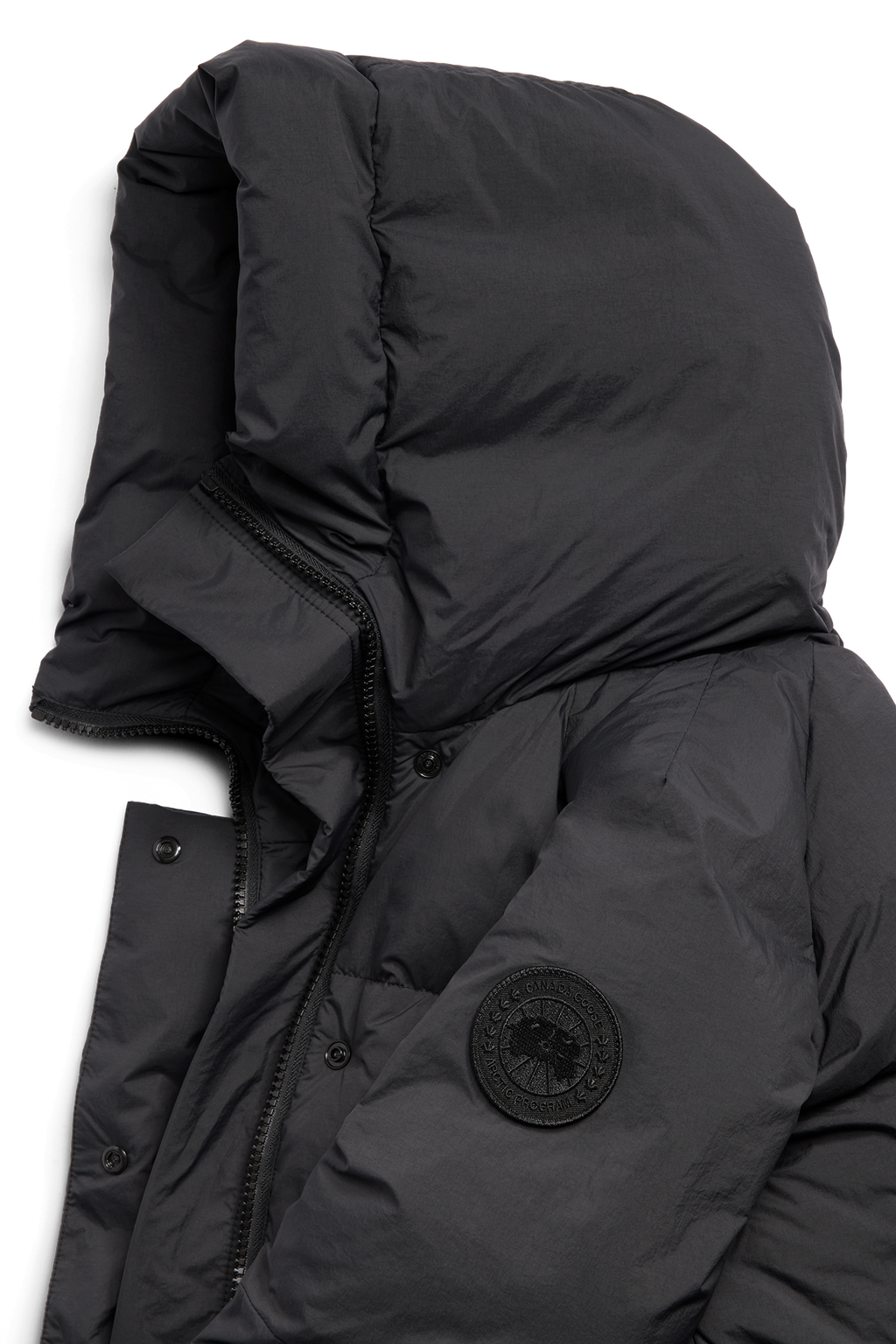 Chilliwack Puffer