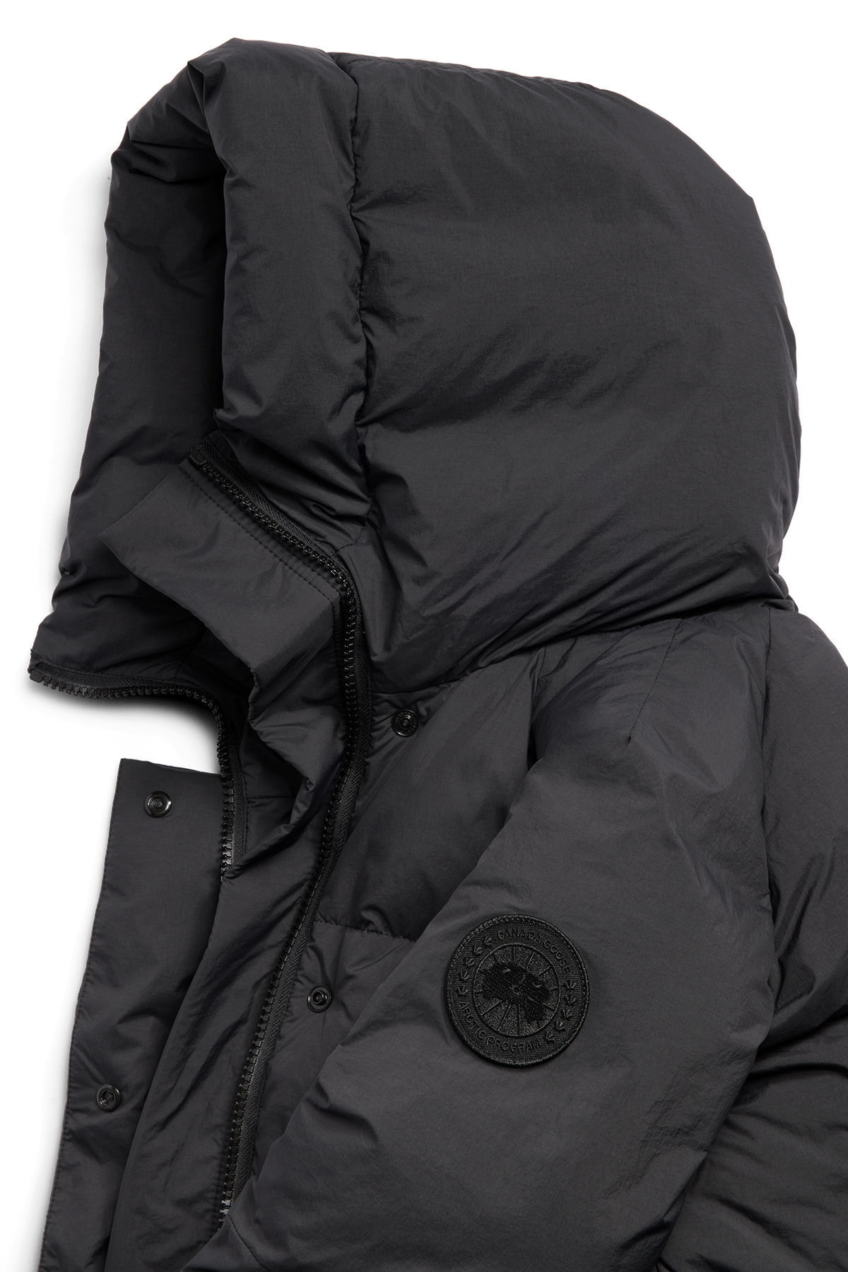 Chilliwack Puffer