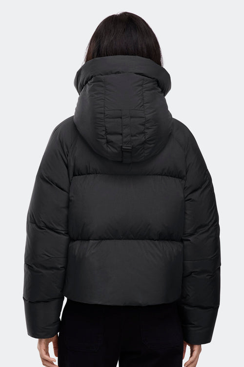 Chilliwack Puffer