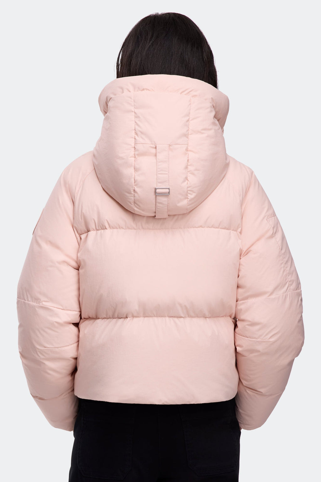 Chilliwack Puffer