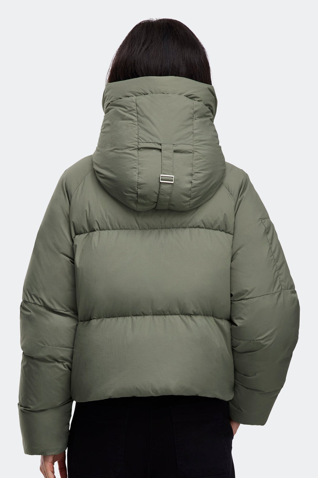 Chilliwack Puffer