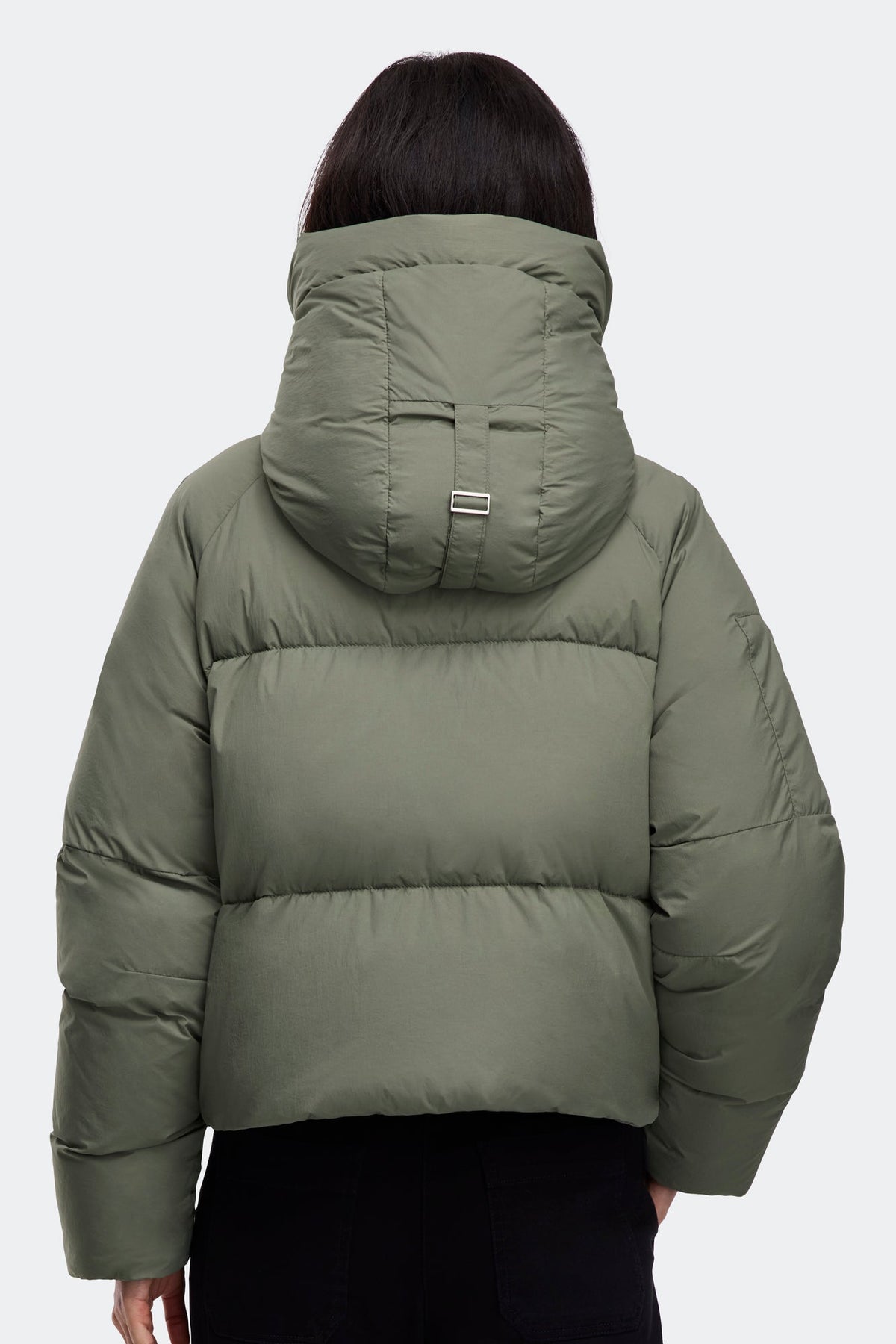 Chilliwack Puffer