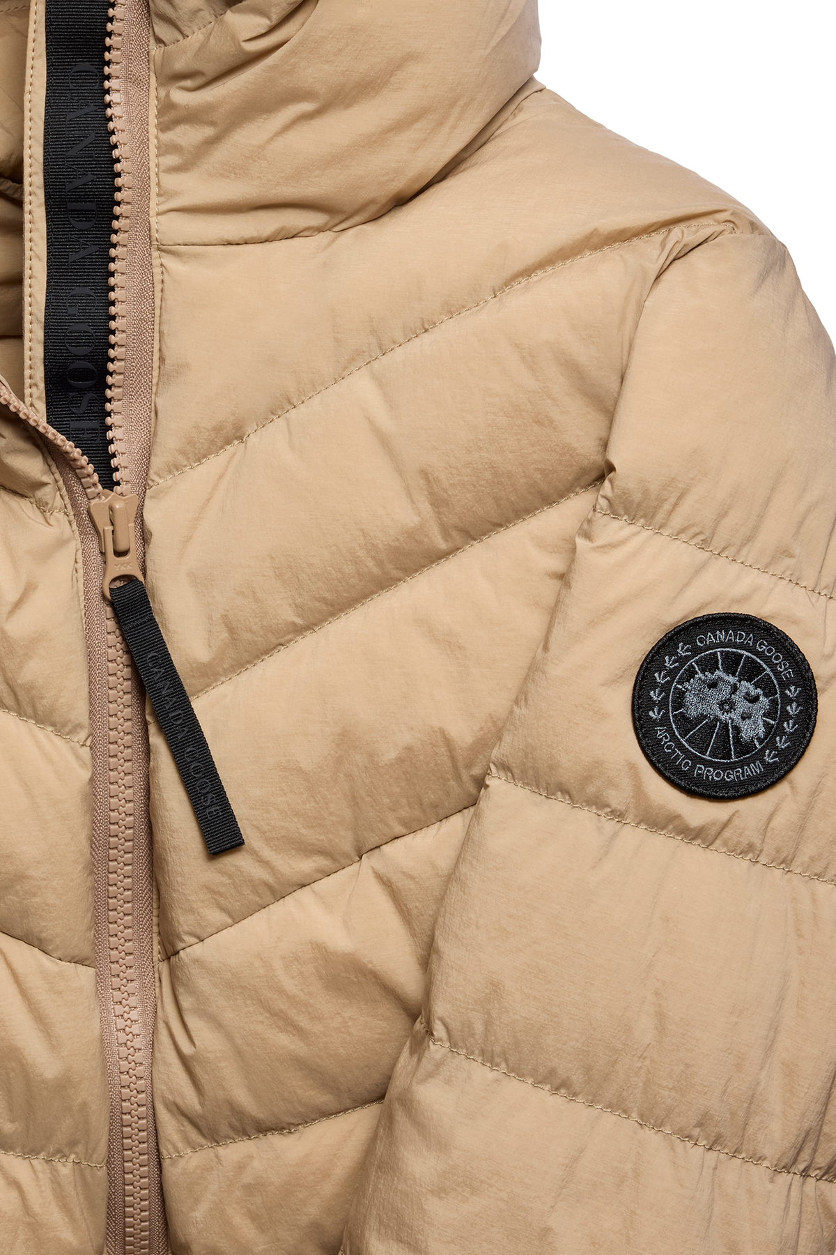 Clair Coat Black Disc