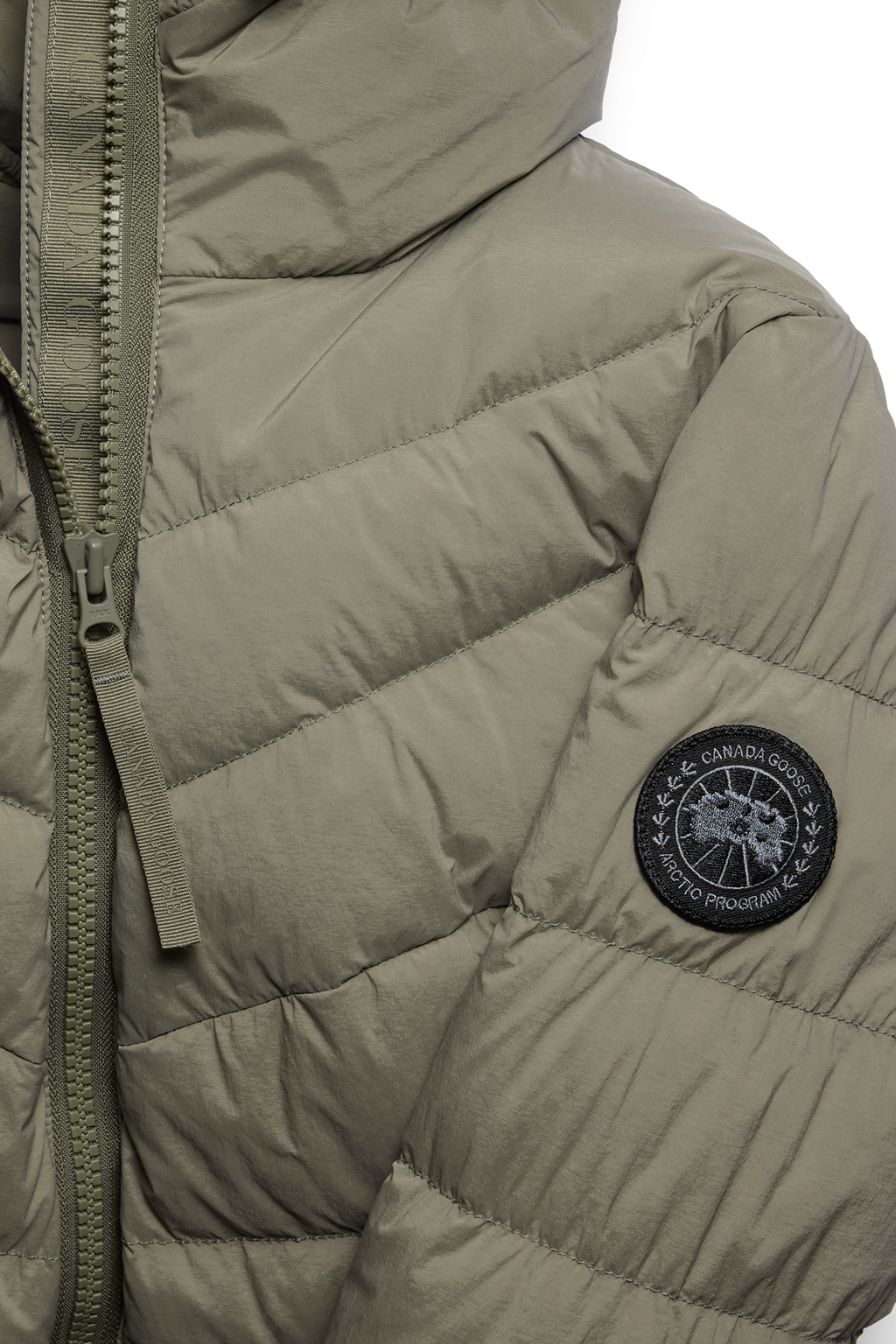 Clair Coat Black Disc