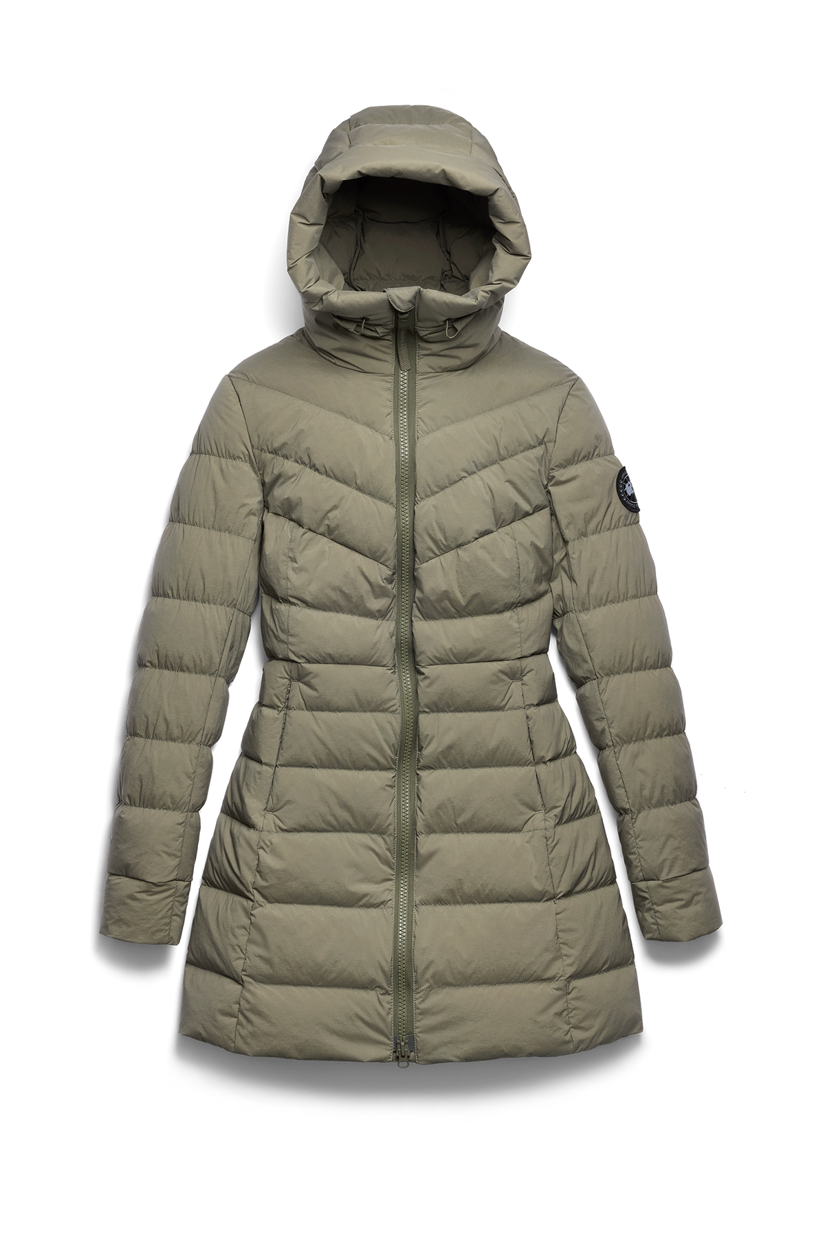 Clair Coat Black Disc