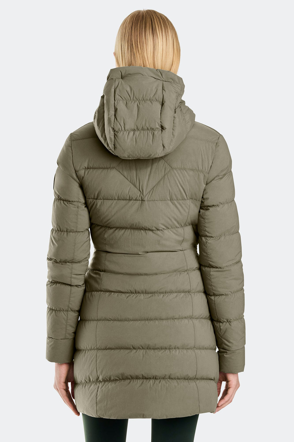 Clair Coat Black Disc