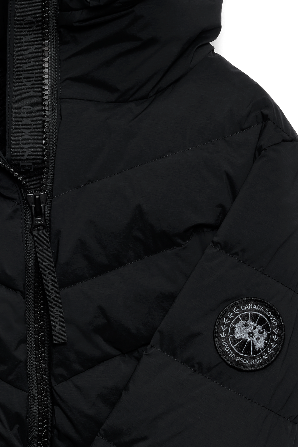 Clair Coat Black Disc