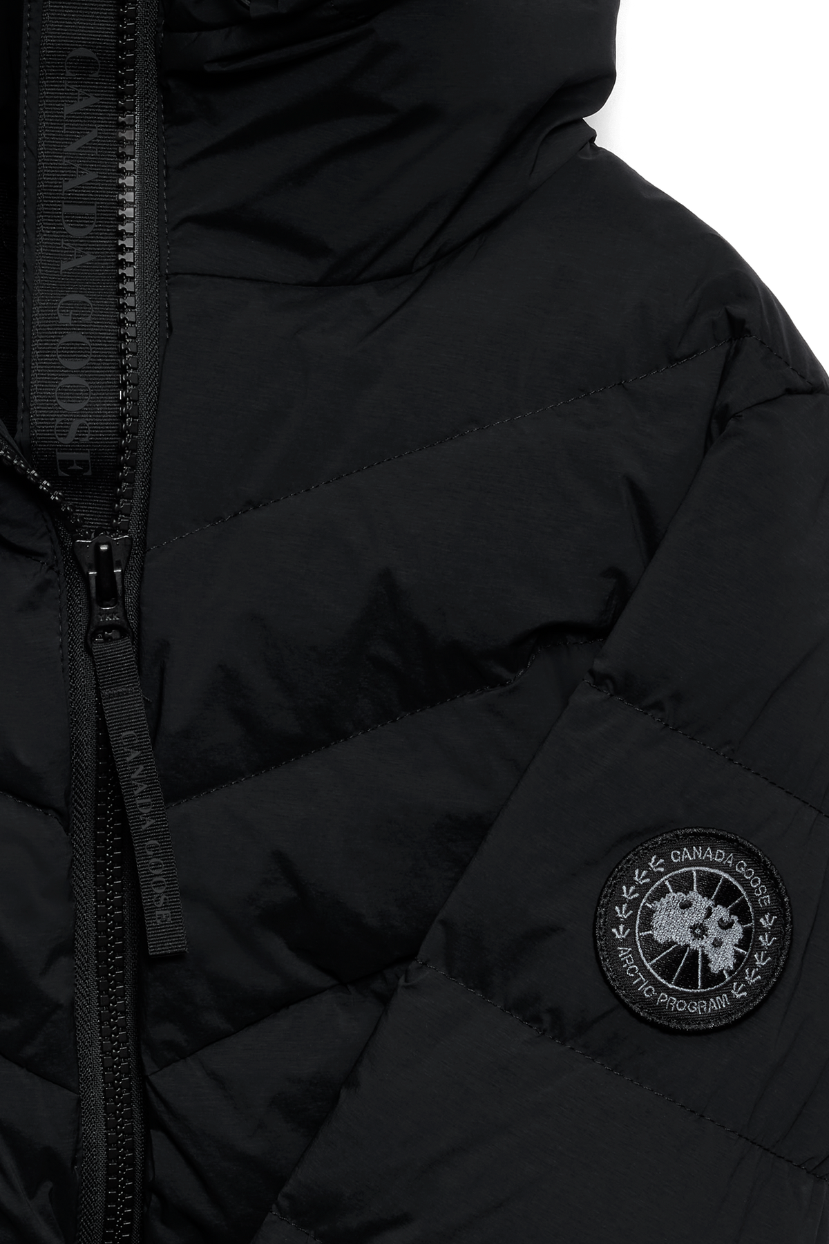 Clair Coat Black Disc