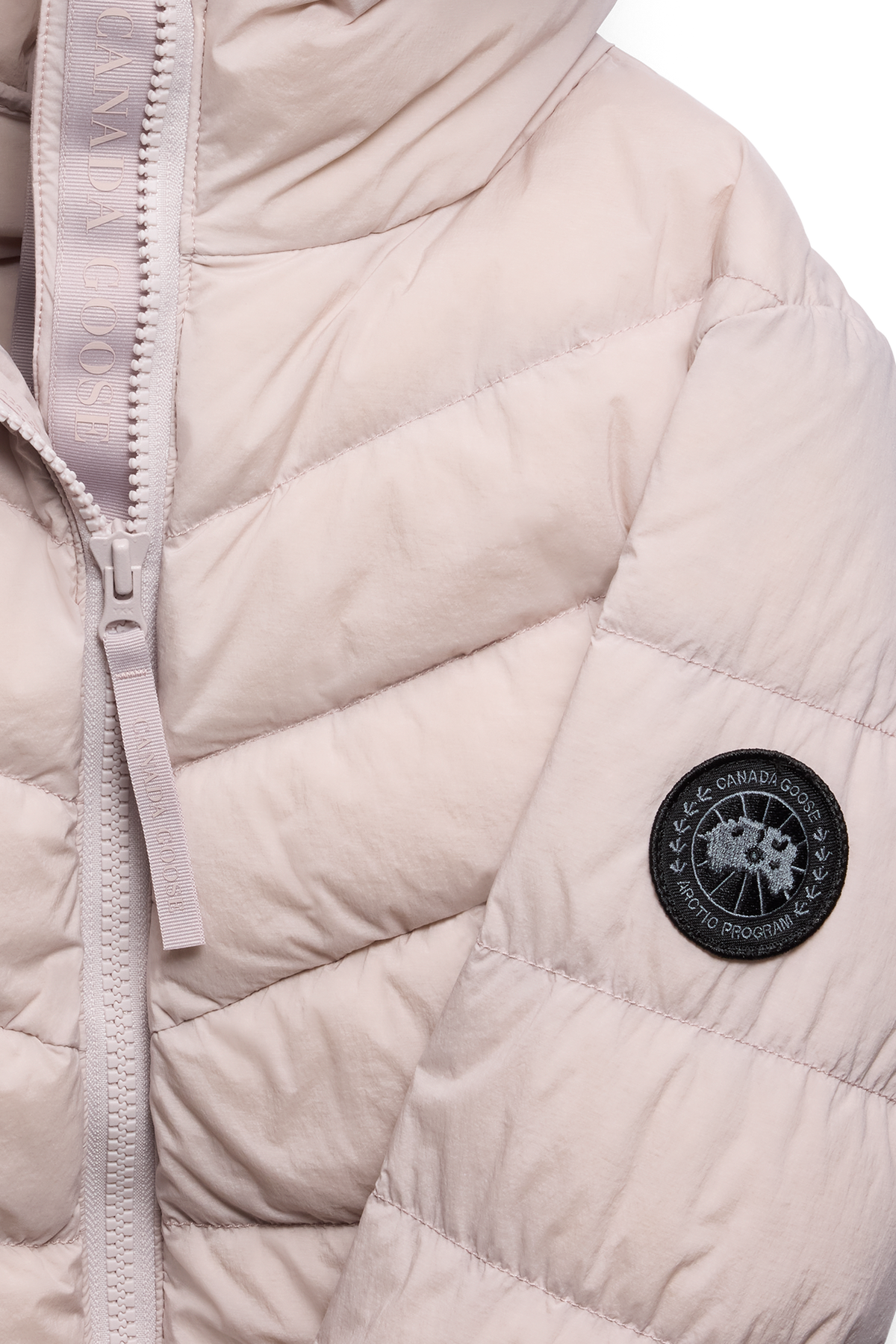 Clair Coat Black Disc