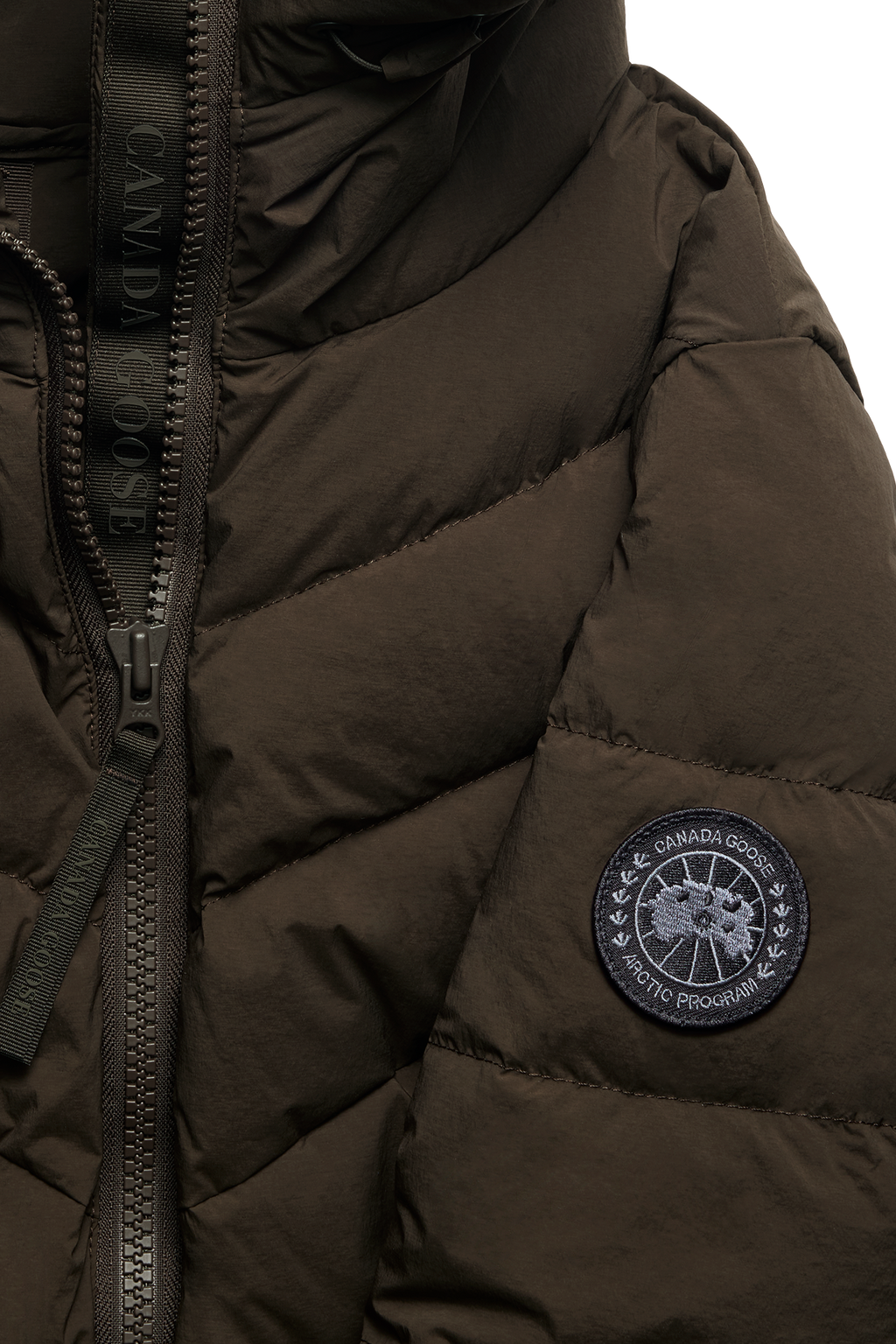 Clair Coat Black Disc