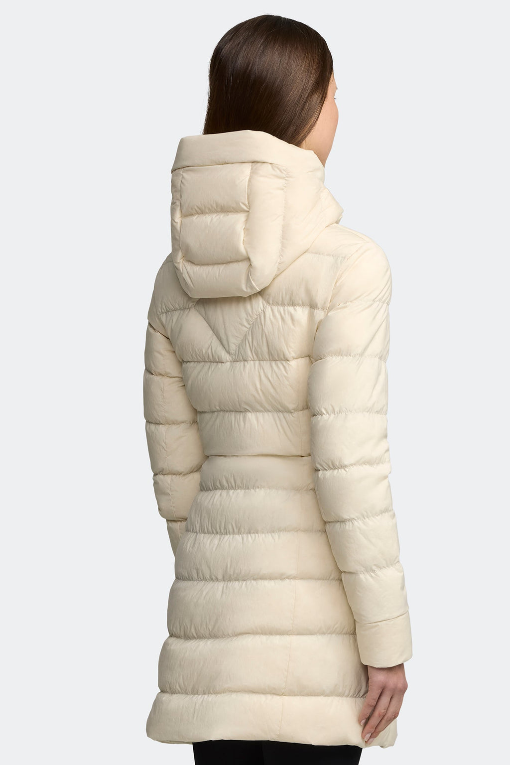 Clair Coat White Disc