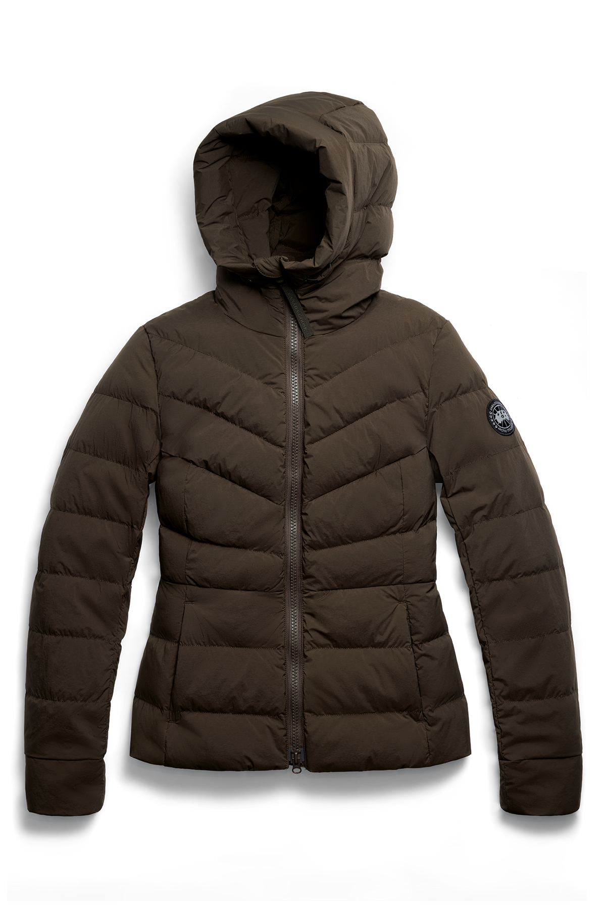 Clair Jacket Black Disc