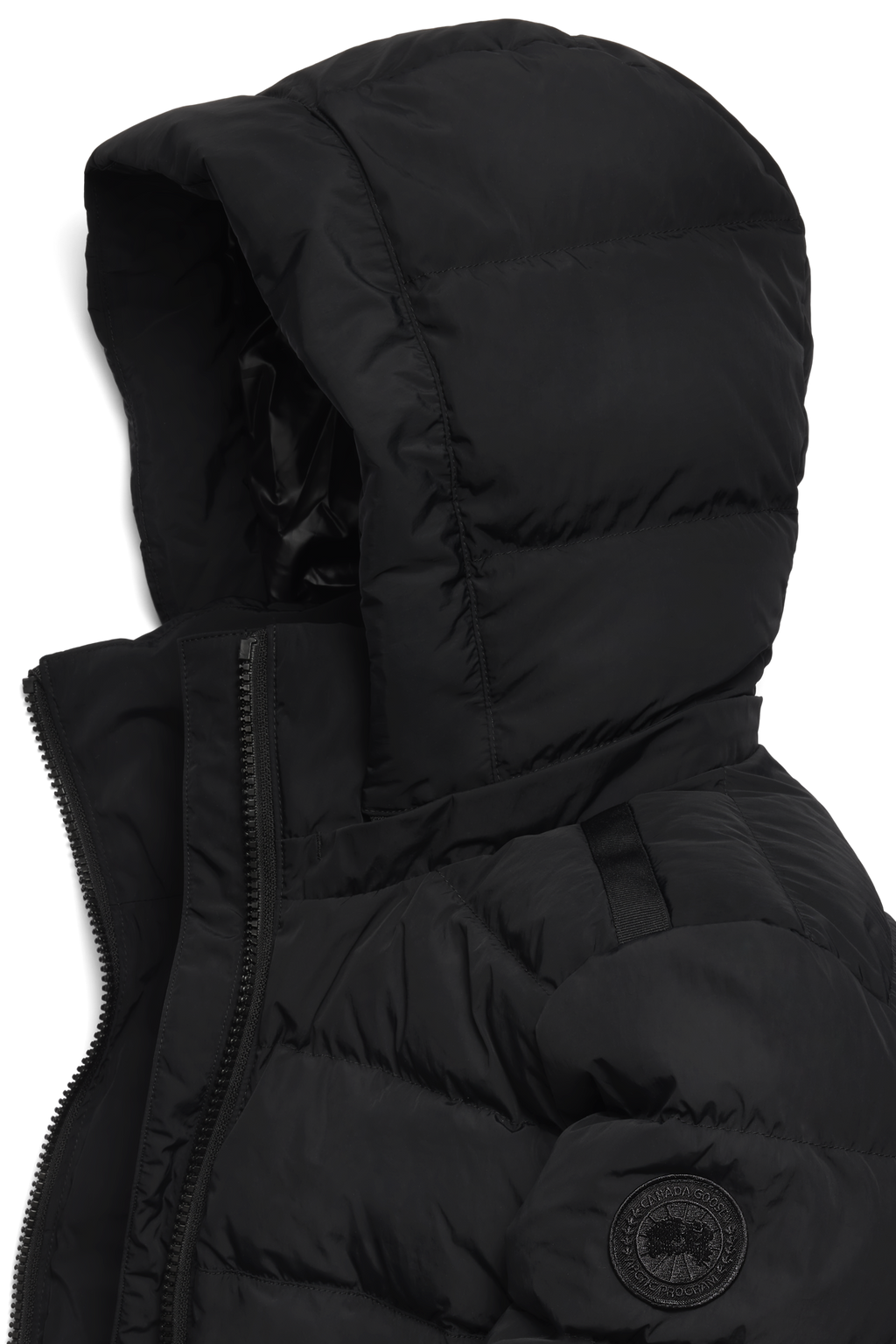 Aurora Parka