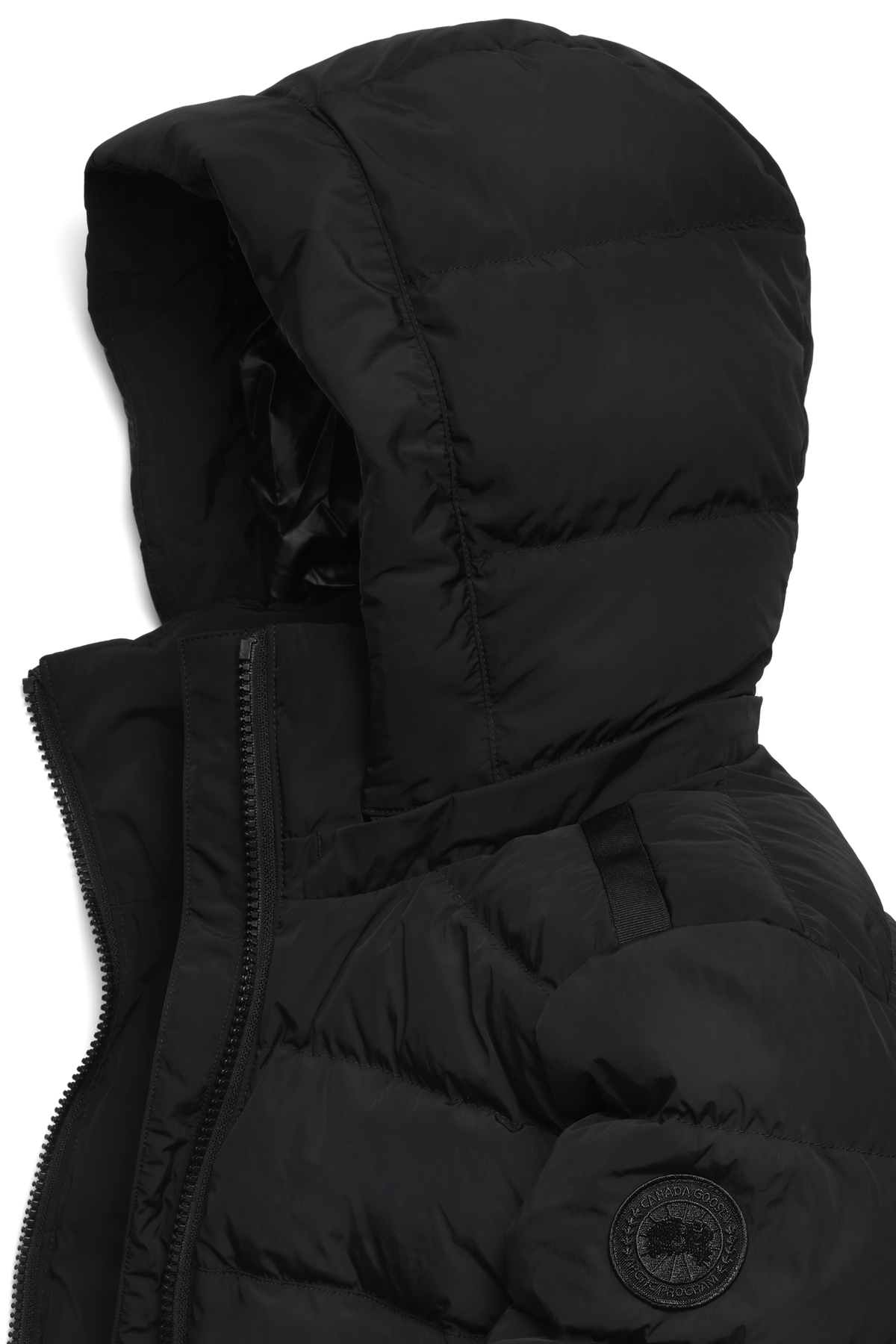 Aurora Parka